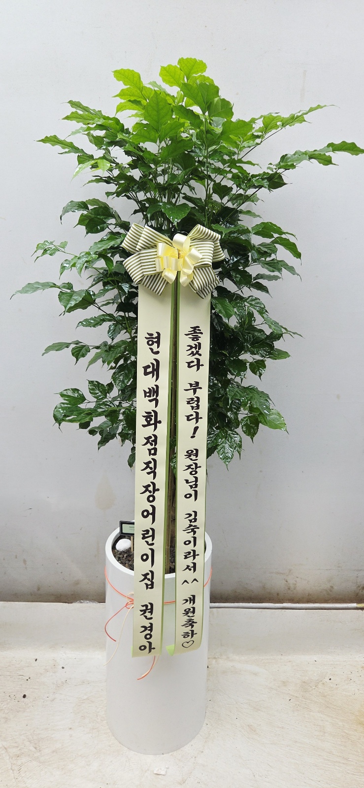 업로드 이미지