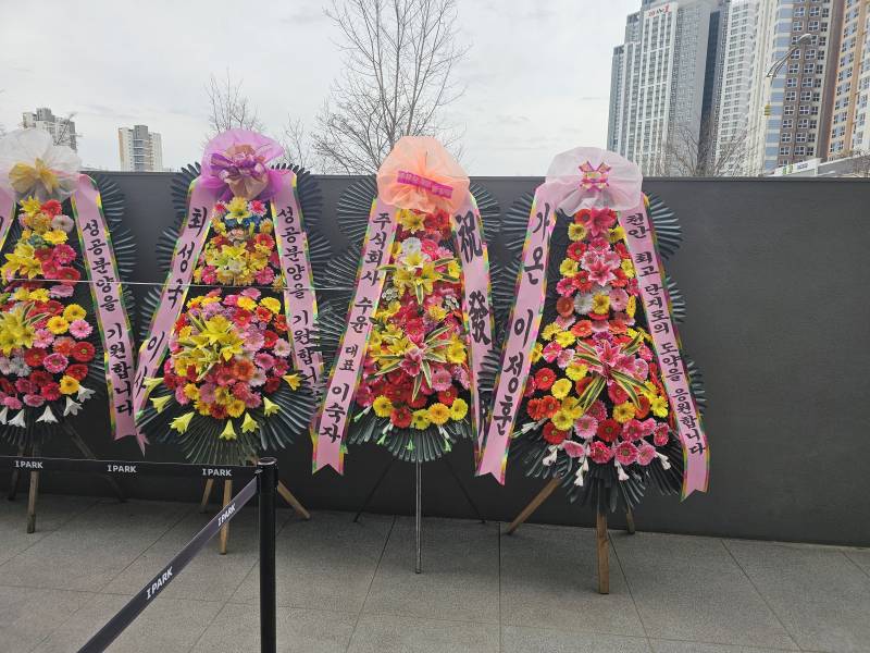 업로드 이미지