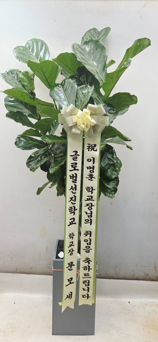 업로드 이미지