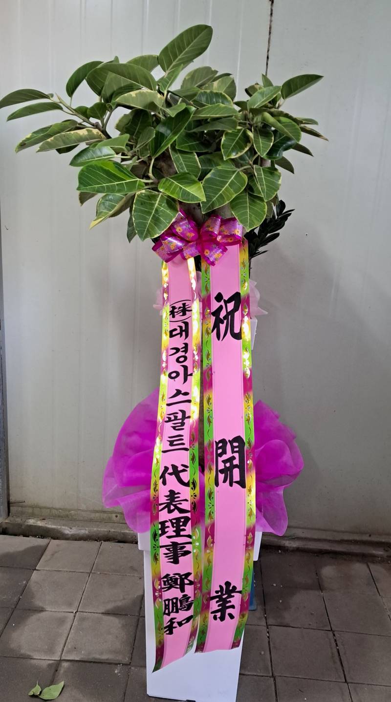 업로드 이미지