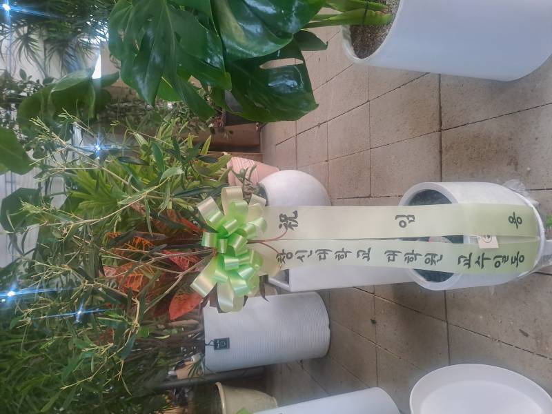 업로드 이미지