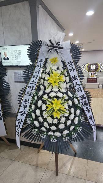 업로드 이미지