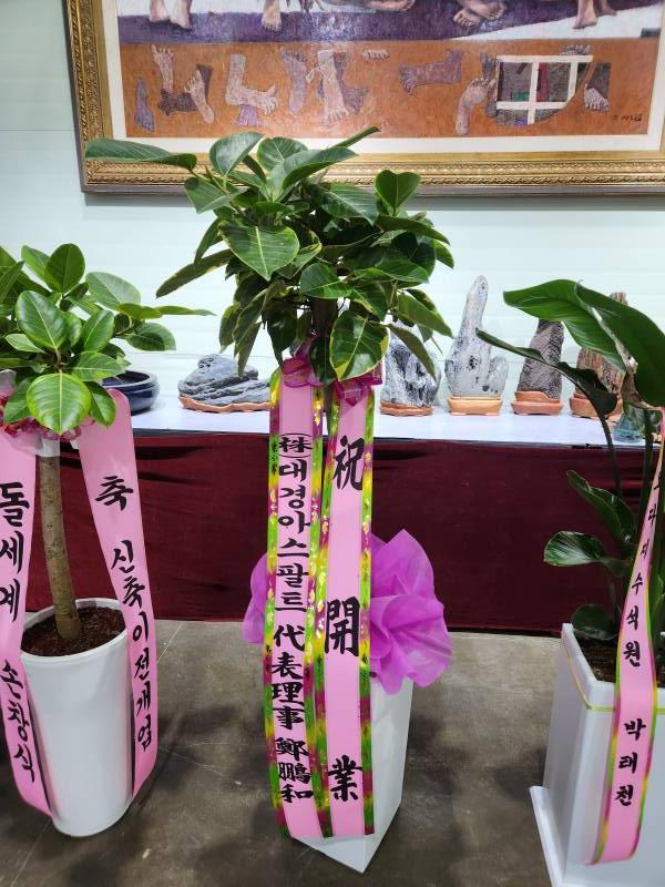 업로드 이미지
