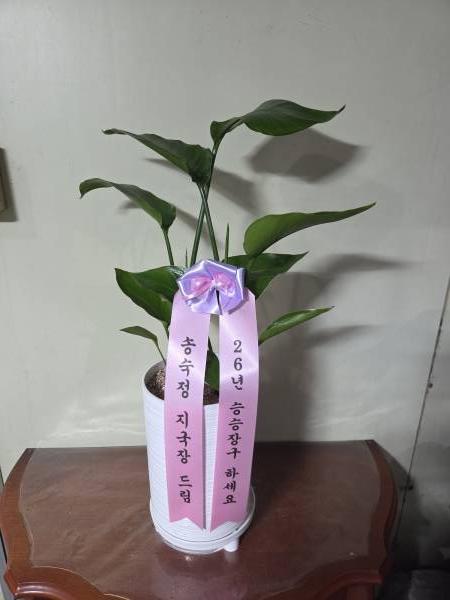 업로드 이미지