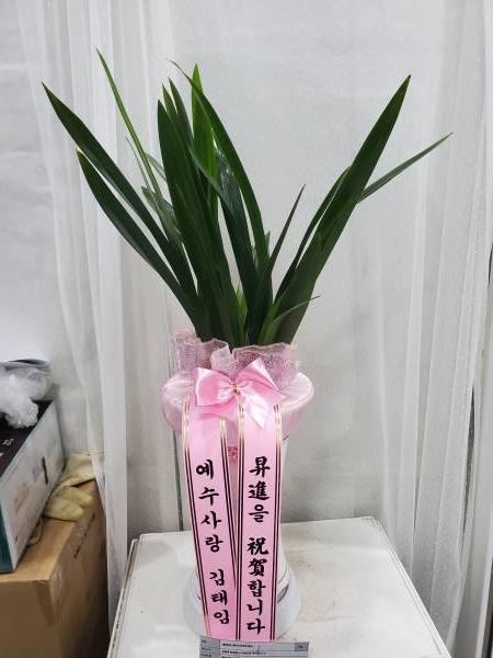 업로드 이미지