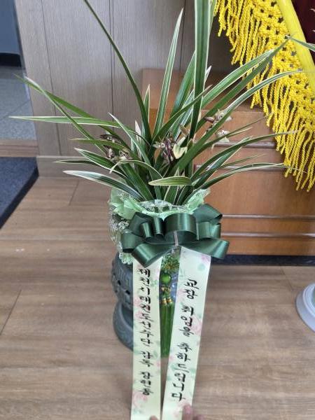 업로드 이미지