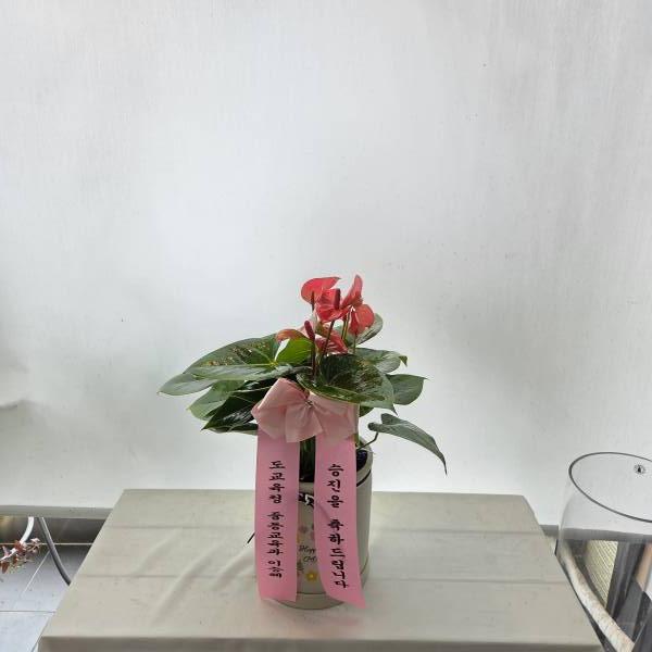 업로드 이미지