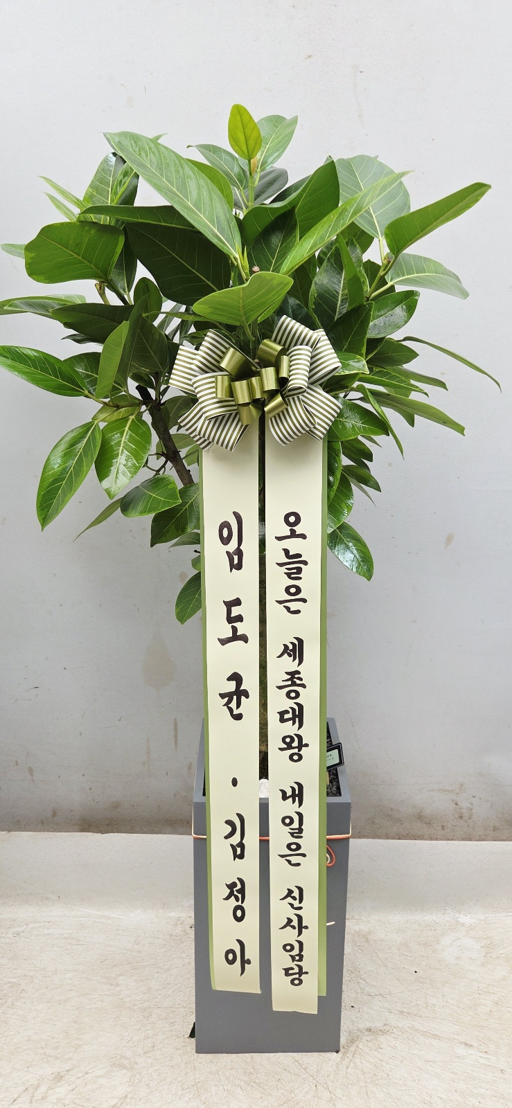 업로드 이미지