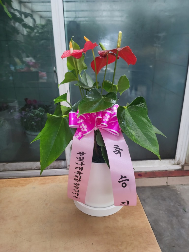 업로드 이미지