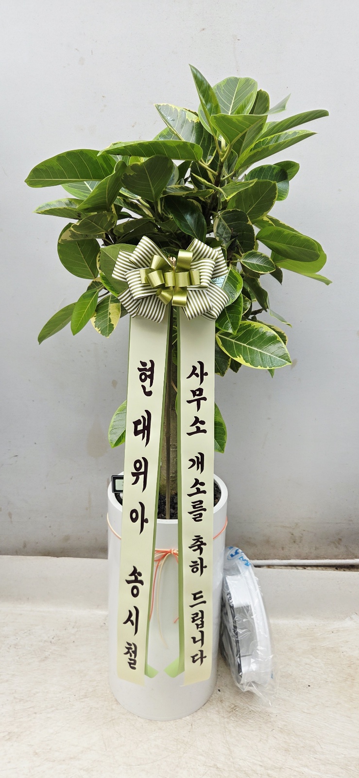 업로드 이미지