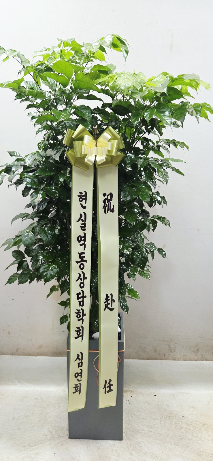 업로드 이미지