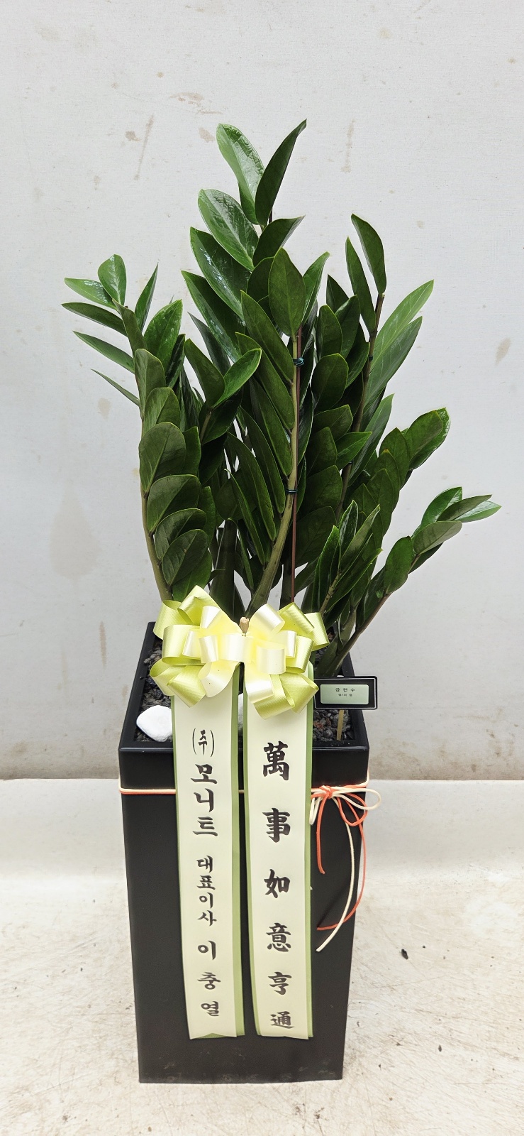 업로드 이미지