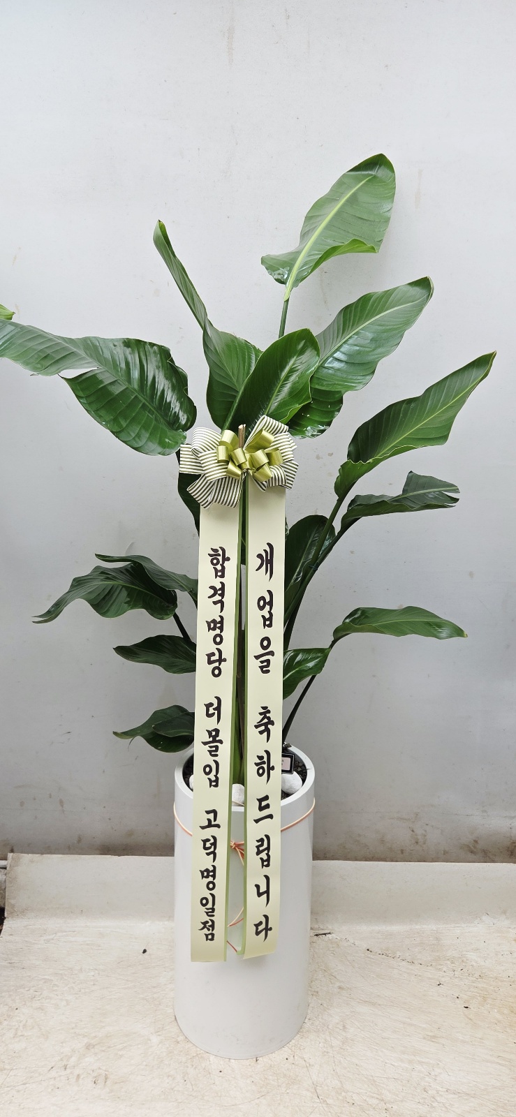 업로드 이미지