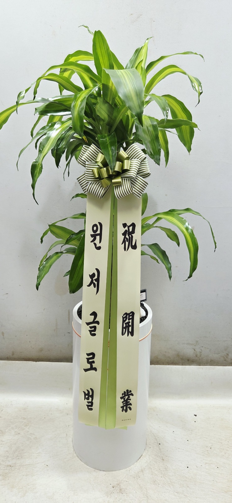 업로드 이미지