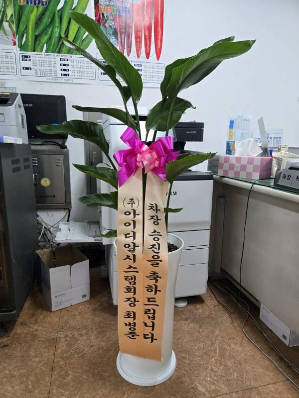 업로드 이미지