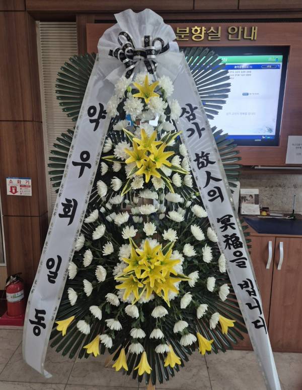 업로드 이미지