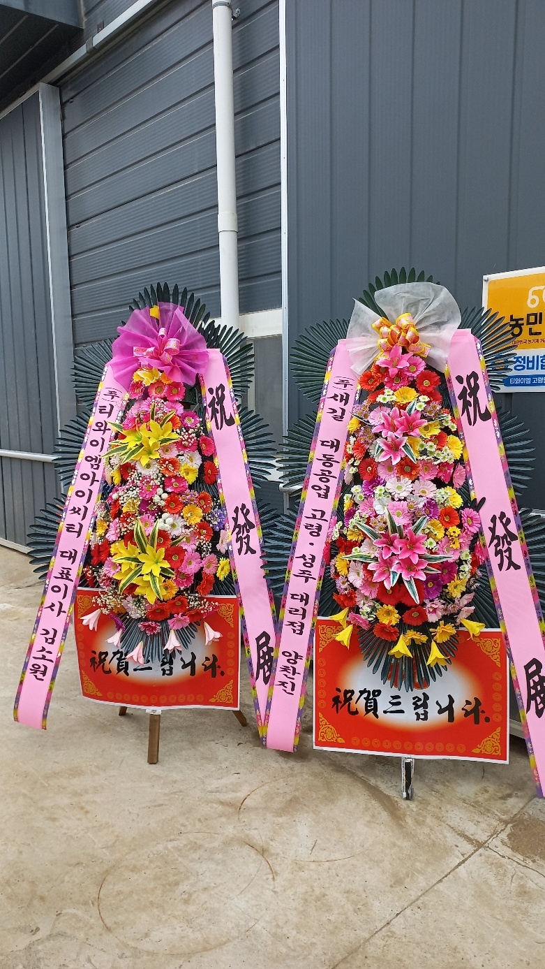 업로드 이미지