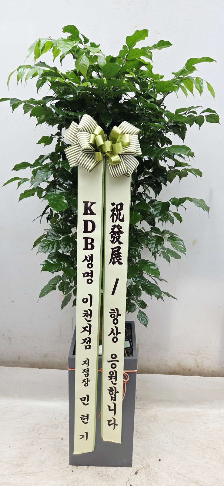 업로드 이미지