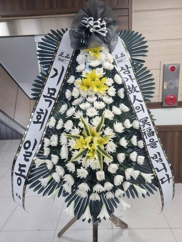 업로드 이미지
