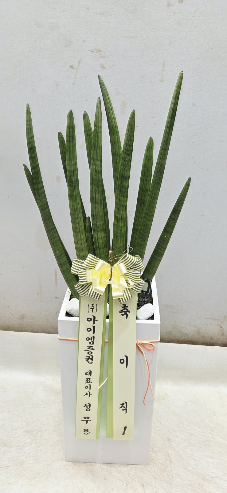 업로드 이미지