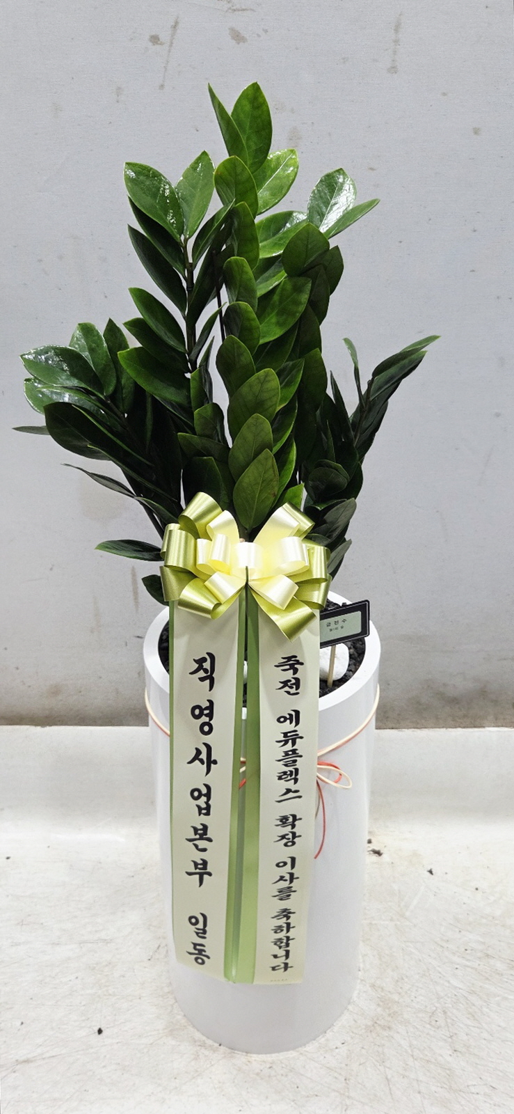 업로드 이미지