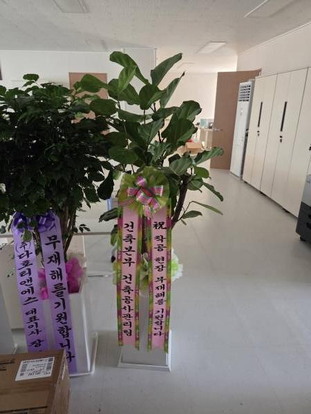 업로드 이미지
