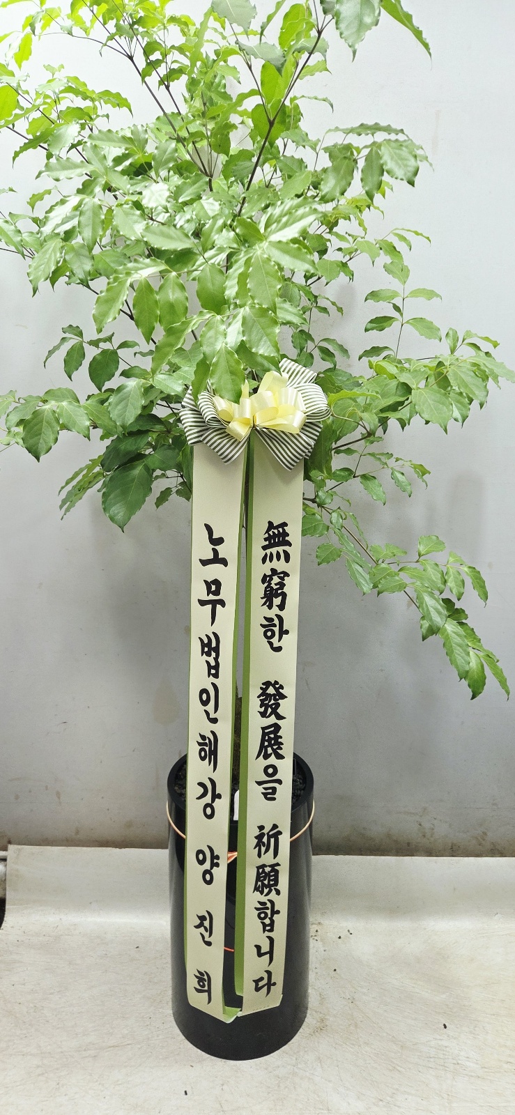 업로드 이미지
