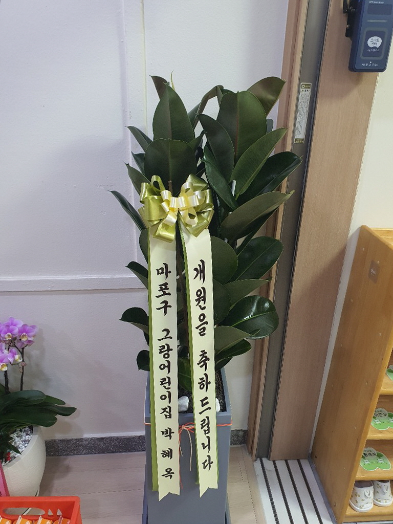 업로드 이미지