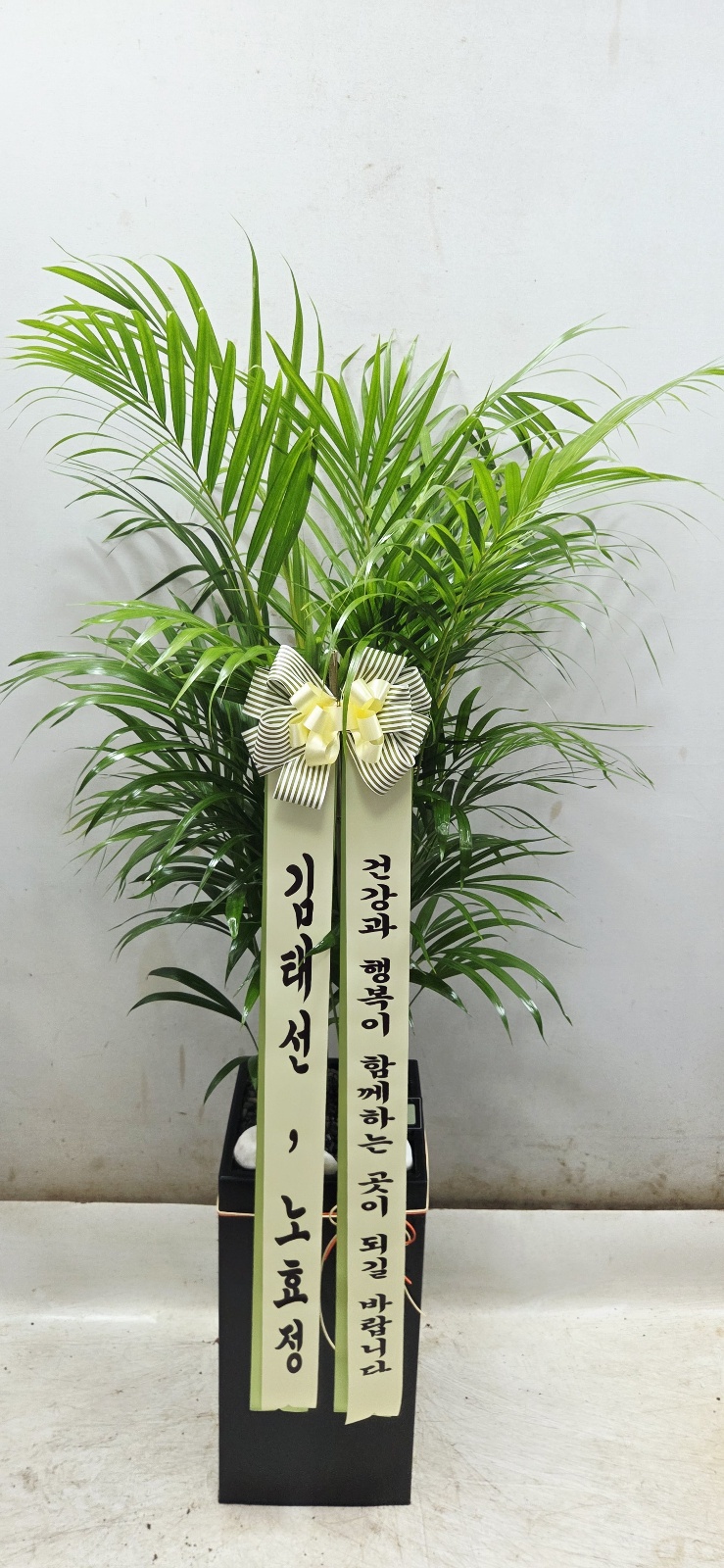 업로드 이미지