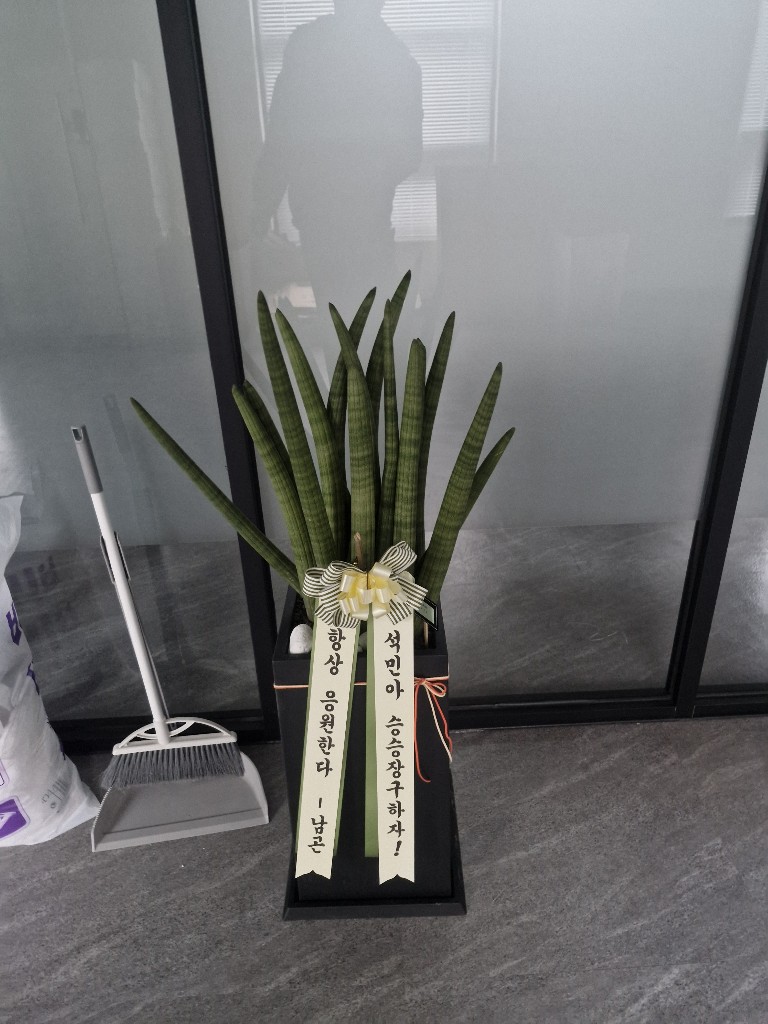 업로드 이미지