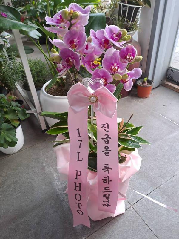 업로드 이미지