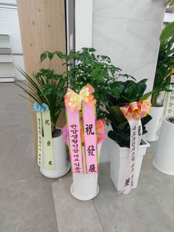 업로드 이미지