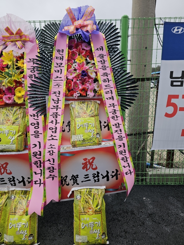 업로드 이미지