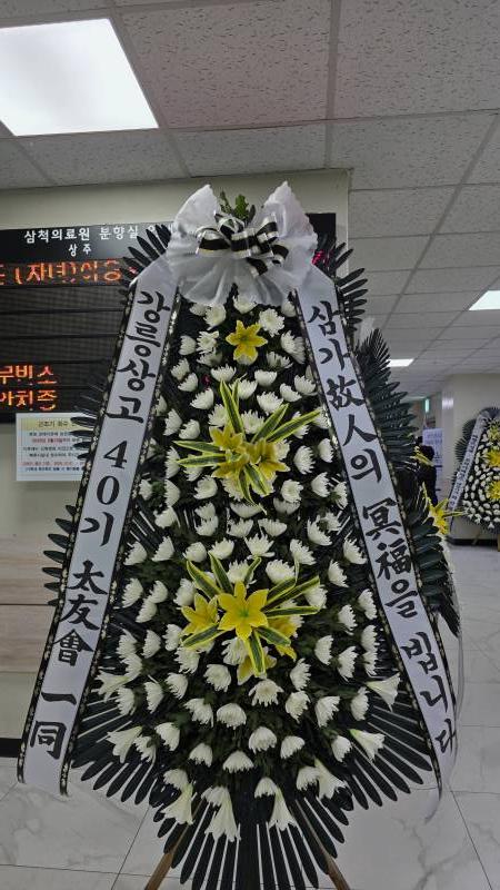 업로드 이미지