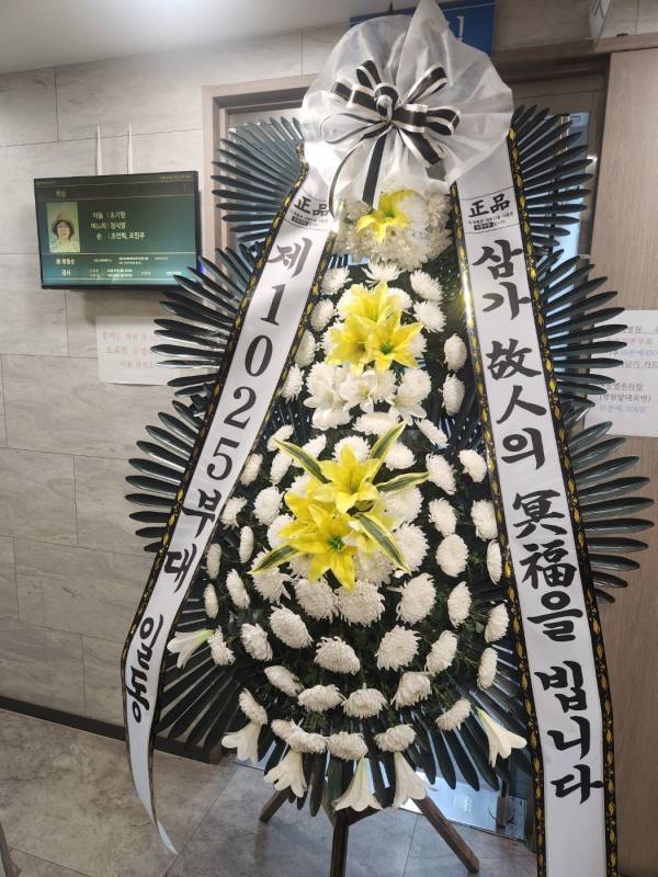 업로드 이미지