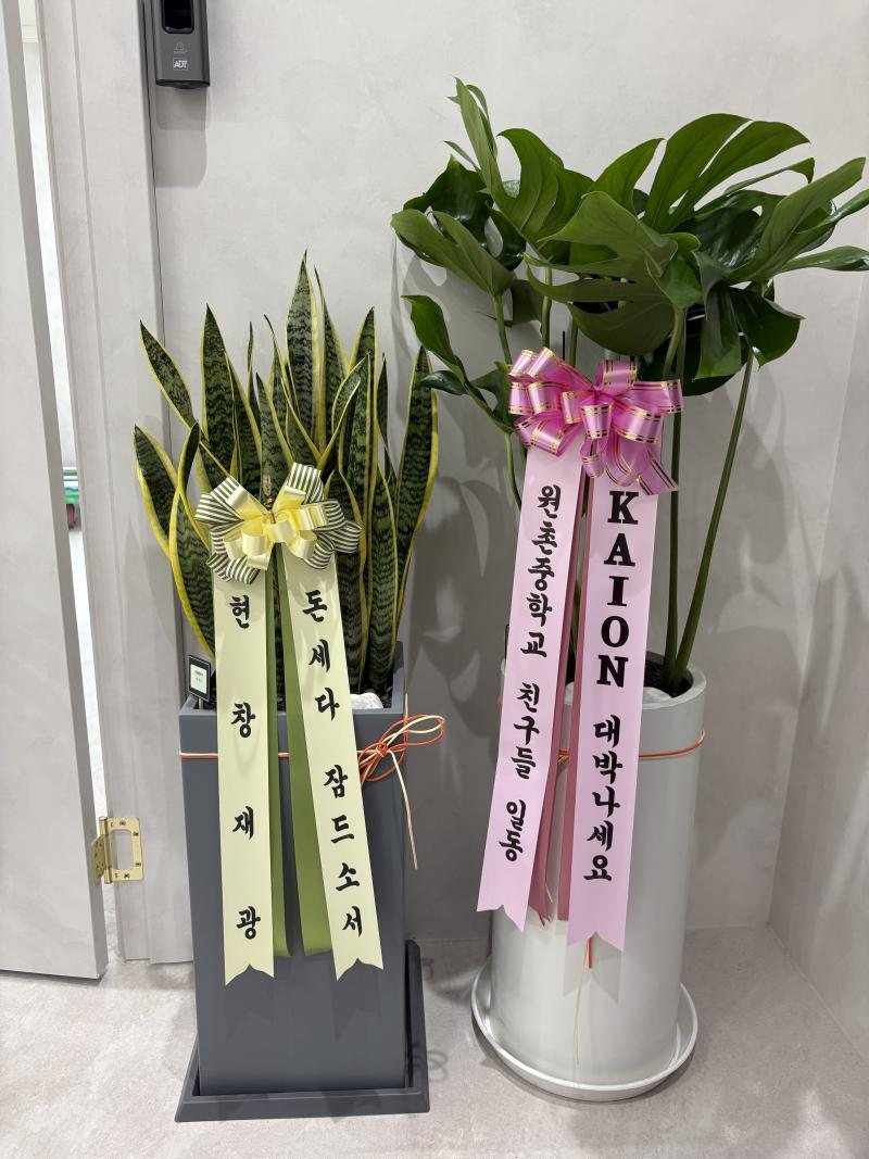 업로드 이미지