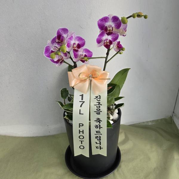 업로드 이미지