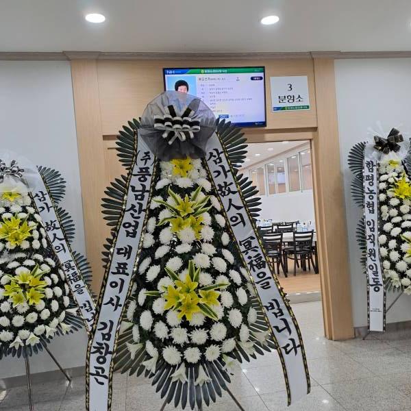 업로드 이미지