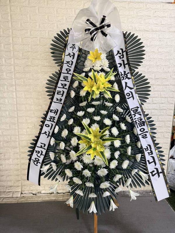 업로드 이미지