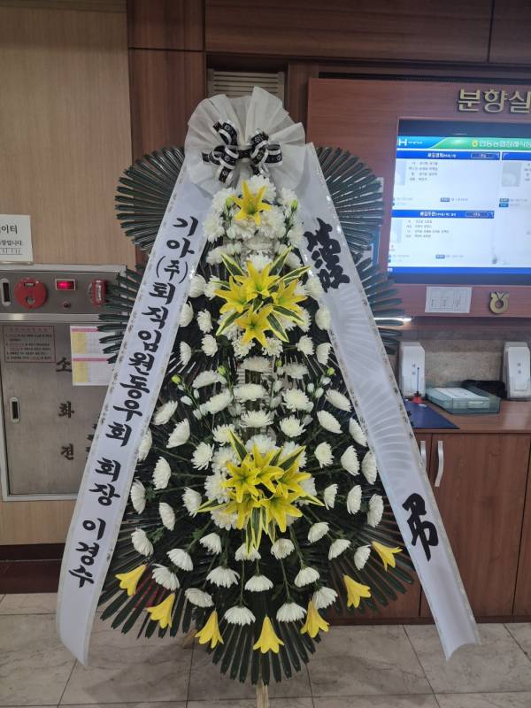 업로드 이미지