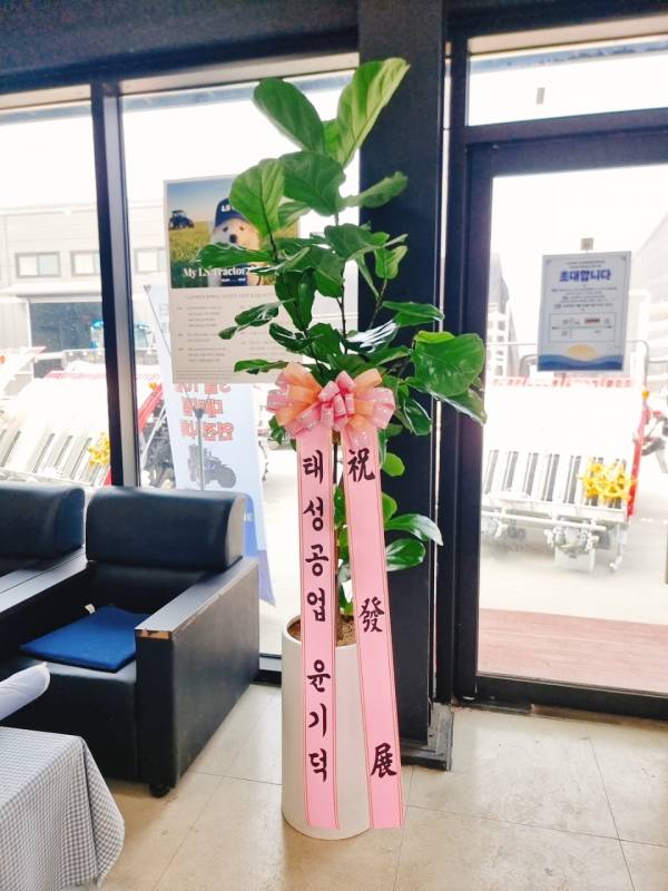 업로드 이미지