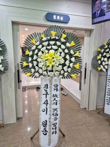 업로드 이미지