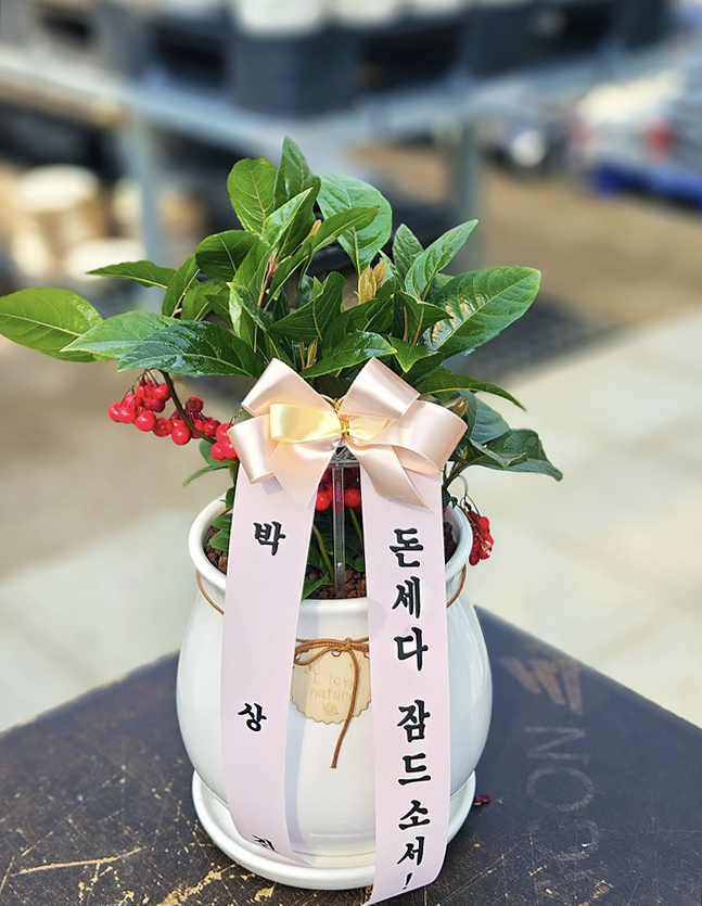 배송사진