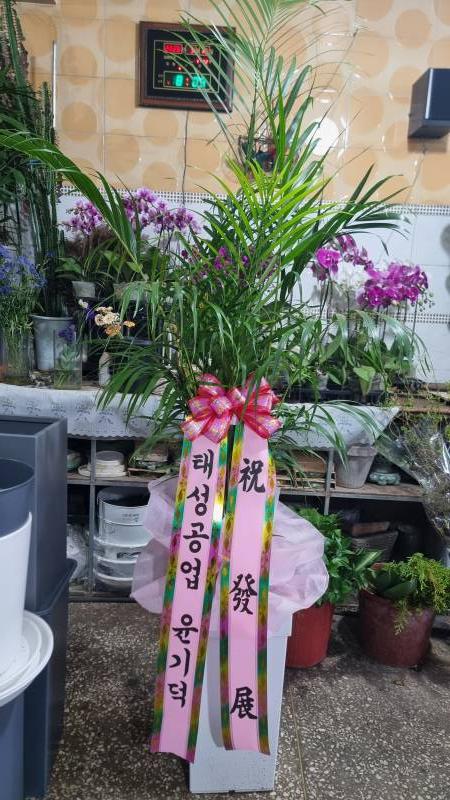 업로드 이미지