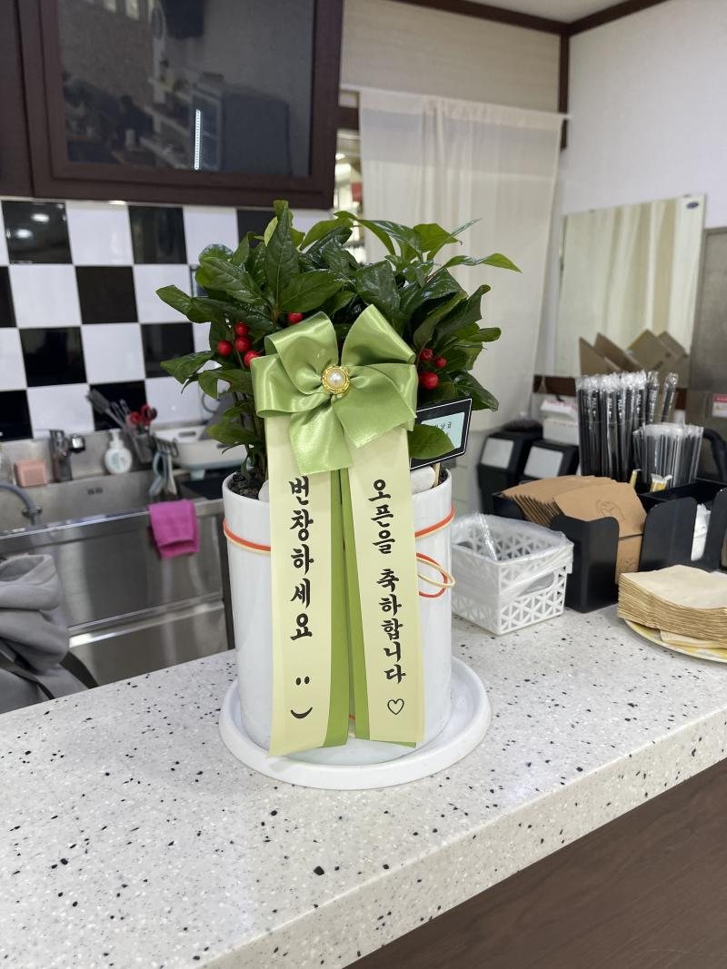 업로드 이미지