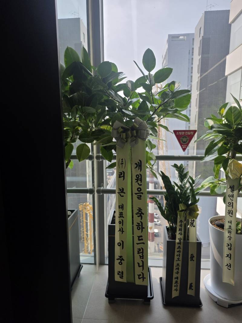 업로드 이미지