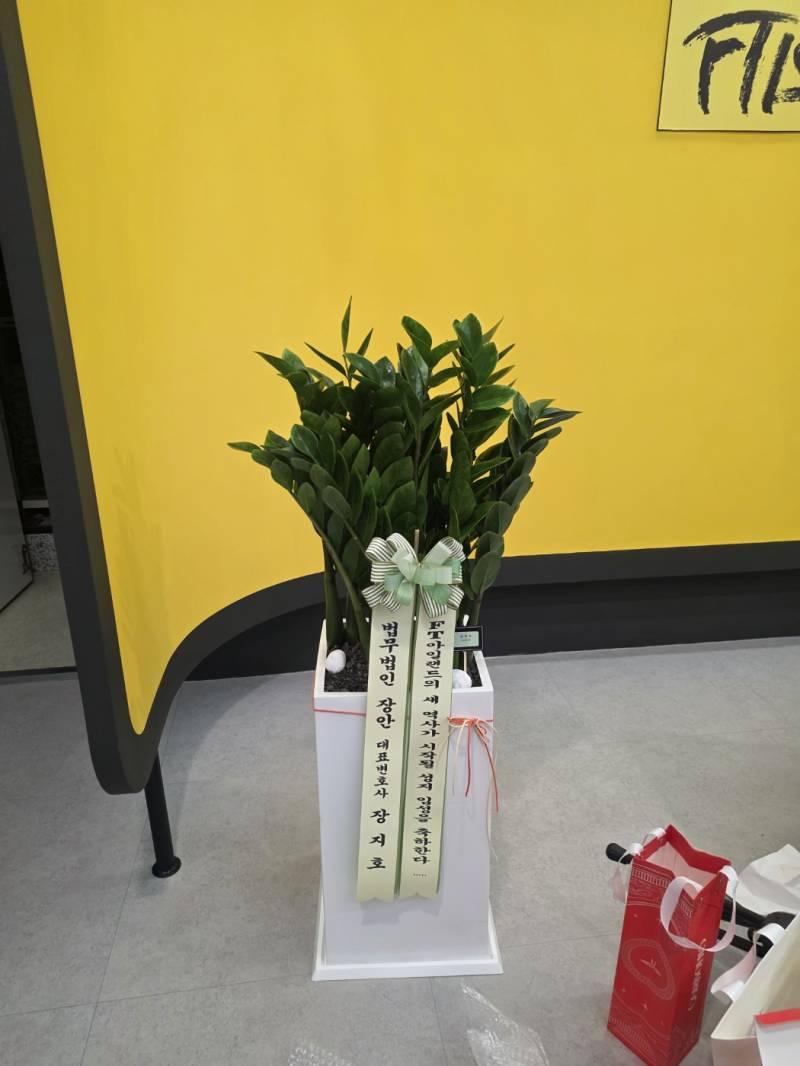 업로드 이미지