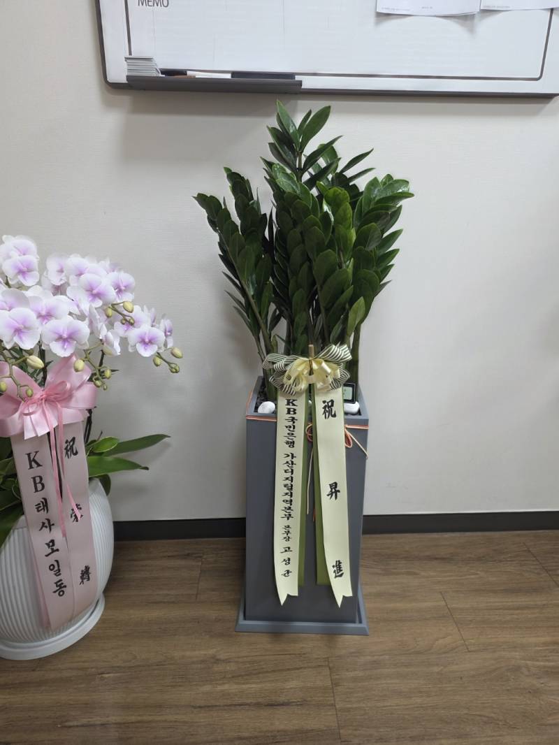 업로드 이미지