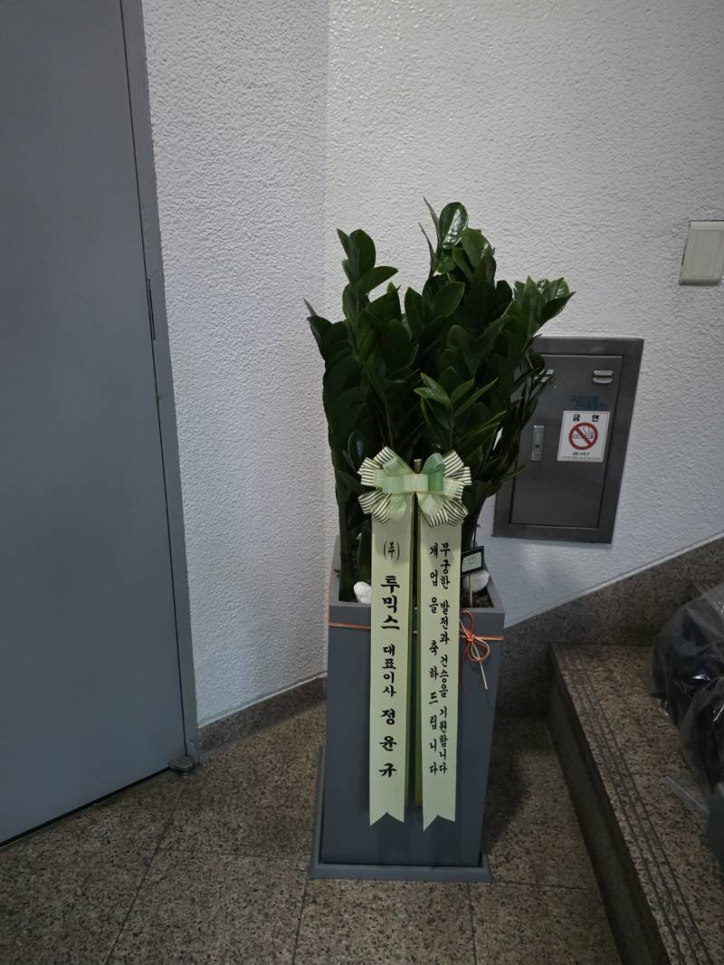 업로드 이미지