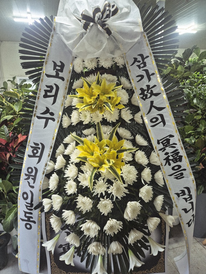 업로드 이미지